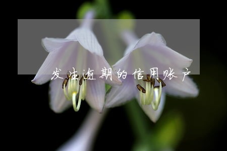 发生逾期的信用账户 发生逾期的信用账户