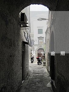 发生逾期的账户2个 发生逾期的账户2个