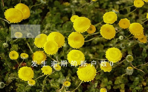 发生逾期的账户数0