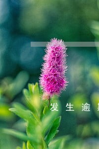发生逾期的账户数0说明
