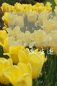 发生逾期的账户数3个严重么 发生逾期的账户数3个严重么