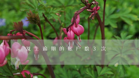 发生逾期的账户数3次 发生逾期的账户数3次