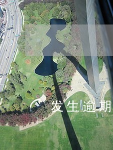 发生逾期的账户数4 发生逾期的账户数4