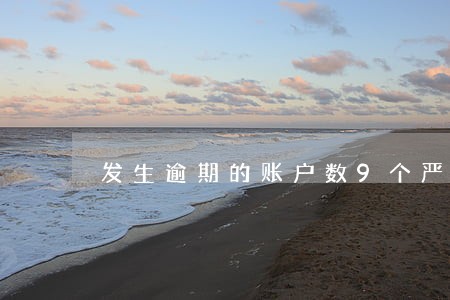 发生逾期的账户数9个严重么 发生逾期的账户数9个严重么