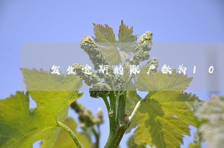发生逾期的账户数为10 发生逾期的账户数为10