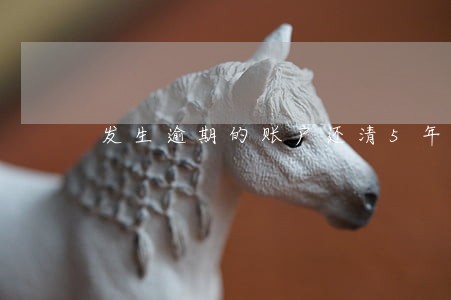 发生逾期的账户还清5年后 发生逾期的账户还清5年后