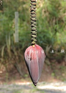 发生逾期账户17