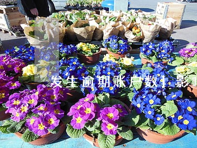 发生逾期账户数1影响购房 发生逾期账户数1影响购房