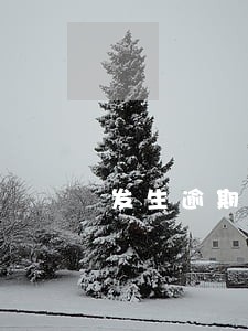 发生逾期账户数2个 发生逾期账户数2个