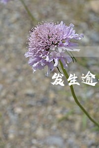 发生逾期账户数3
