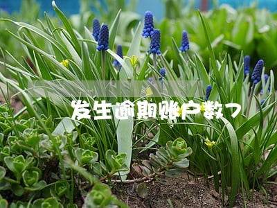 发生逾期账户数7 发生逾期账户数7