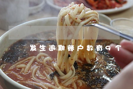 发生逾期账户数有9个 发生逾期账户数有9个