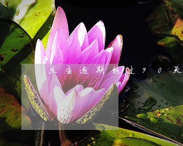 发生逾期超过90天可以买房吗 发生逾期超过90天可以买房吗