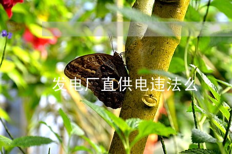 发电厂直供电违法么 发电厂直供电违法么