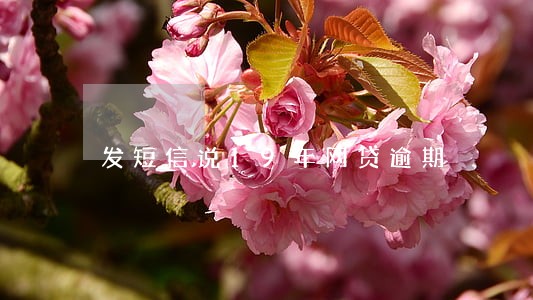 发短信说19年网贷逾期