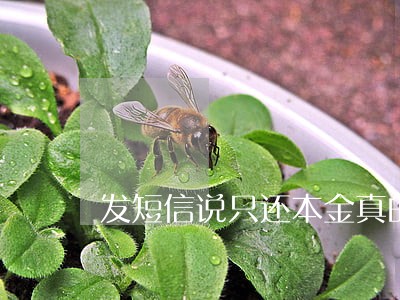 发短信说只还本金真的假的 发短信说只还本金真的假的