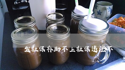 发社保补助不上社保违法不 发社保补助不上社保违法不