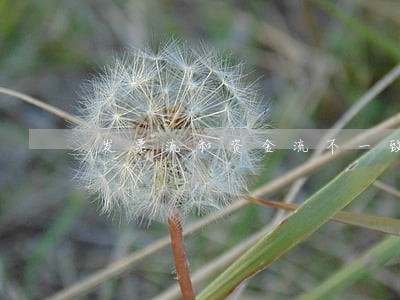 发票流和资金流不一致违法吗 发票流和资金流不一致违法吗