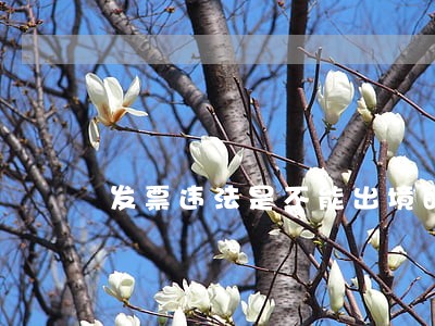 发票违法是不能出境的