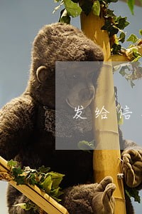 发给信用卡逾期客户的短信 发给信用卡逾期客户的短信