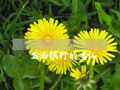 发给银行的建议 发给银行的建议