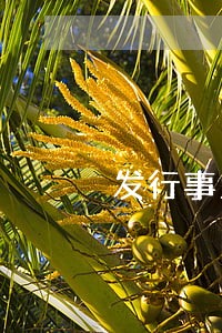 发行事业债法律意见书 发行事业债法律意见书