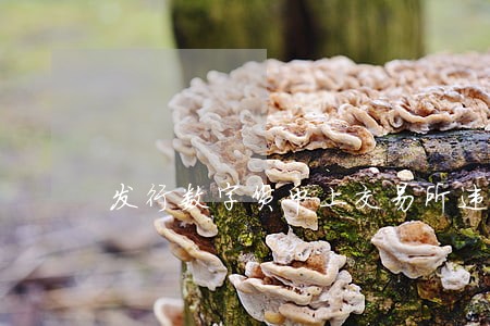 发行数字货币上交易所违法吗