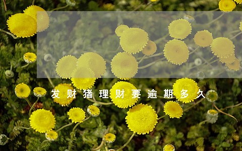 发财猪理财要逾期多久 发财猪理财要逾期多久