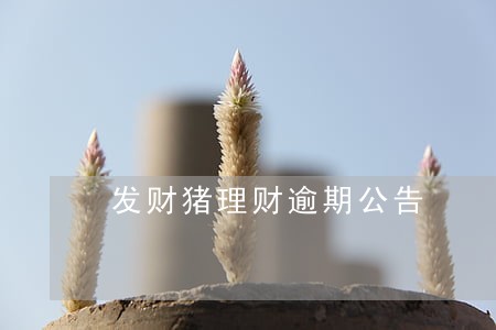 发财猪理财逾期公告