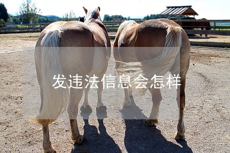 发违法信息会怎样