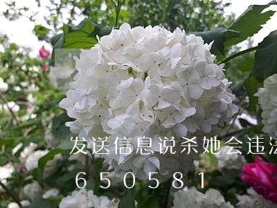 发送信息说杀她会违法吗/2023012650581 发送信息说杀她会违法吗/2023012650581
