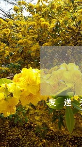 发送无痕短信是否违法 发送无痕短信是否违法