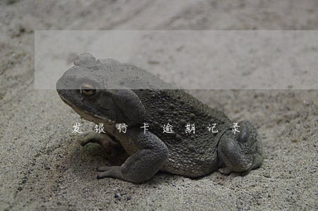 发银行卡逾期记录