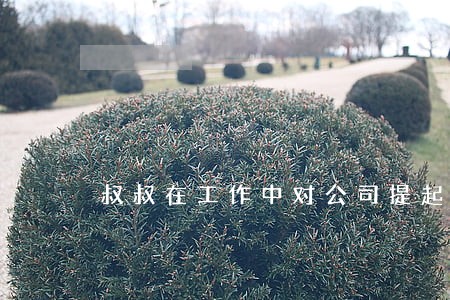 叔叔在工作中对公司提起了诉讼 叔叔在工作中对公司提起了诉讼