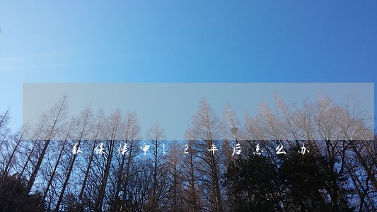 取保候审12年后怎么办 取保候审12年后怎么办