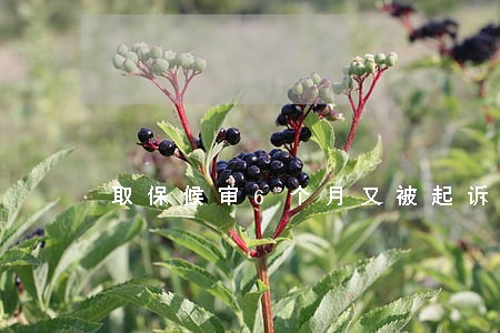 取保候审6个月又被起诉 取保候审6个月又被起诉
