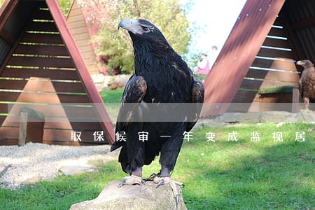 取保候审一年变成监视居住 取保候审一年变成监视居住