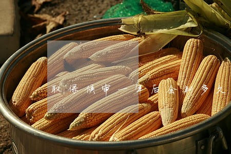 取保候审一年后会判多久 取保候审一年后会判多久