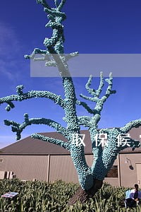 取保候审不成功律师退款 取保候审不成功律师退款