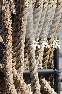 取保候审不成功的原因