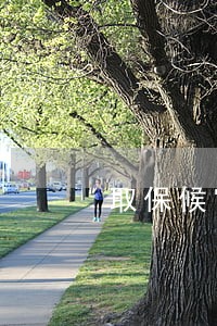 取保候审不给取保证明