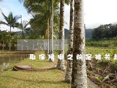取保候审之前是被关起来吗 取保候审之前是被关起来吗