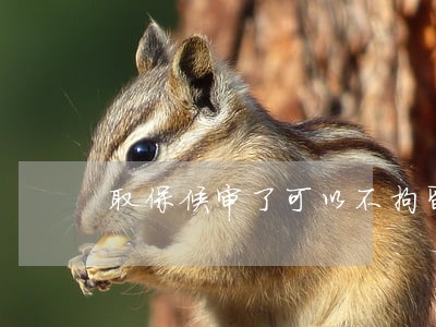取保候审了可以不拘留吗 取保候审了可以不拘留吗