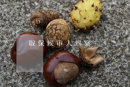 取保候审人到案 取保候审人到案