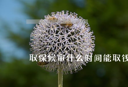 取保候审什么时间能取钱 取保候审什么时间能取钱
