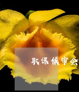 取保候审会不予起诉的案件 取保候审会不予起诉的案件