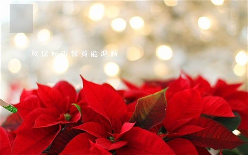 取保候审保费能退吗 取保候审保费能退吗