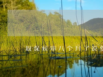 取保候审八个月了说要起诉 取保候审八个月了说要起诉