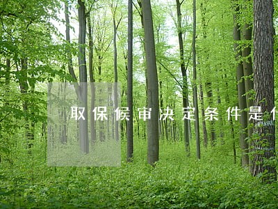 取保候审决定条件是什么 取保候审决定条件是什么