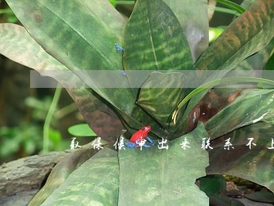 取保候审出来联系不上怎么办 取保候审出来联系不上怎么办